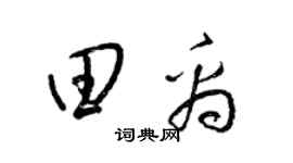 梁锦英田禹草书个性签名怎么写