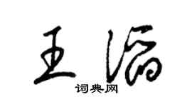 梁锦英王滔草书个性签名怎么写