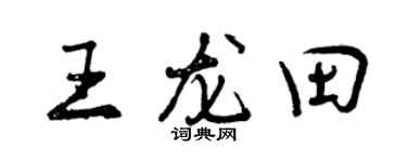 曾庆福王龙田行书个性签名怎么写