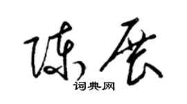 梁锦英陈展草书个性签名怎么写