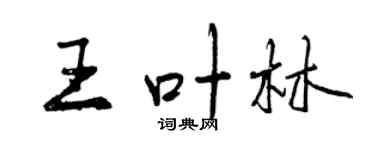 曾庆福王叶林行书个性签名怎么写