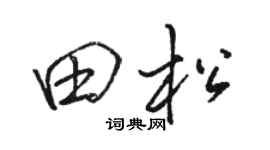 骆恒光田松行书个性签名怎么写