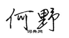 骆恒光何野行书个性签名怎么写