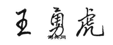 骆恒光王勇虎行书个性签名怎么写