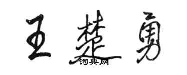 骆恒光王楚勇行书个性签名怎么写