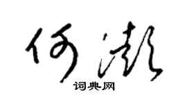 梁锦英何澎草书个性签名怎么写