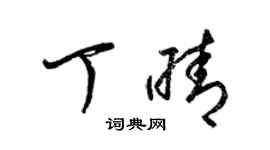 梁锦英丁晴草书个性签名怎么写