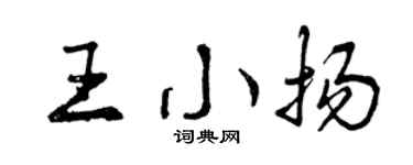 曾庆福王小扬行书个性签名怎么写