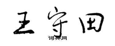 曾庆福王守田行书个性签名怎么写