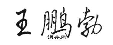 骆恒光王鹏勃行书个性签名怎么写