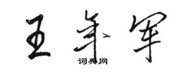 骆恒光王年军行书个性签名怎么写