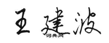 骆恒光王建波行书个性签名怎么写