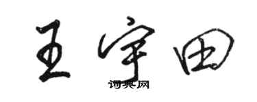 骆恒光王宇田行书个性签名怎么写