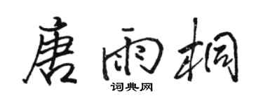 骆恒光唐雨桐行书个性签名怎么写