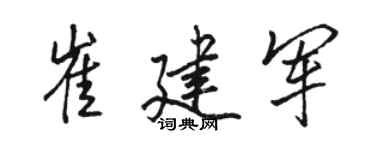 骆恒光崔建军行书个性签名怎么写