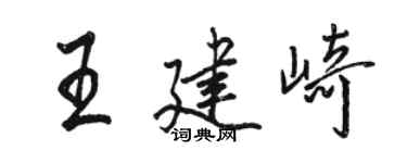 骆恒光王建崎行书个性签名怎么写