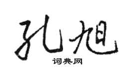 骆恒光孔旭行书个性签名怎么写