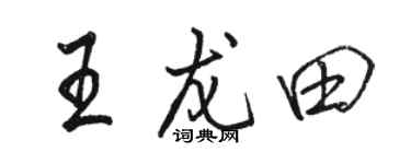 骆恒光王龙田行书个性签名怎么写