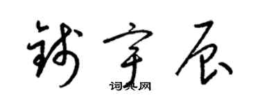 梁锦英钱宇辰草书个性签名怎么写