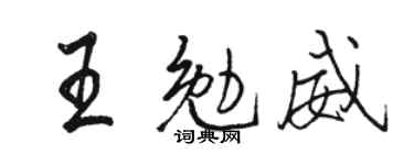 骆恒光王勉威行书个性签名怎么写