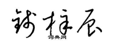 梁锦英钱梓辰草书个性签名怎么写