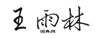 骆恒光王雨林行书个性签名怎么写