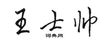 骆恒光王士帅行书个性签名怎么写