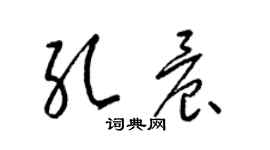 梁锦英孔晨草书个性签名怎么写