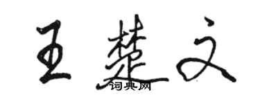 骆恒光王楚文行书个性签名怎么写