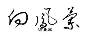 梁锦英向凤兰草书个性签名怎么写