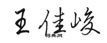 骆恒光王佳峻行书个性签名怎么写