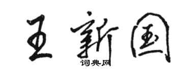 骆恒光王新国行书个性签名怎么写