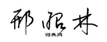 梁锦英邢昭林草书个性签名怎么写