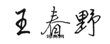 骆恒光王春野行书个性签名怎么写