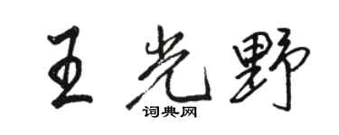 骆恒光王光野行书个性签名怎么写