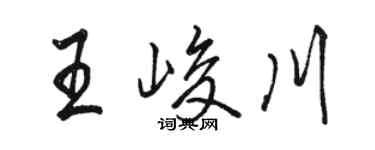 骆恒光王峻川行书个性签名怎么写