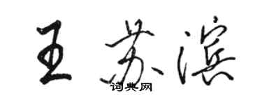 骆恒光王苏滨行书个性签名怎么写