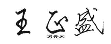 骆恒光王正盛行书个性签名怎么写