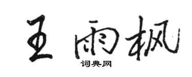 骆恒光王雨枫行书个性签名怎么写