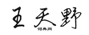 骆恒光王天野行书个性签名怎么写