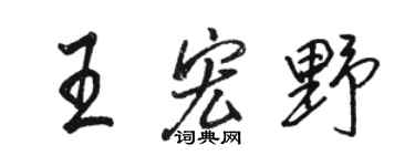 骆恒光王宏野行书个性签名怎么写