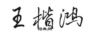 骆恒光王楷鸿行书个性签名怎么写