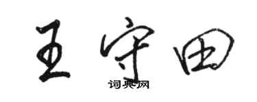 骆恒光王守田行书个性签名怎么写