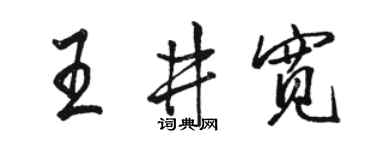 骆恒光王井宽行书个性签名怎么写