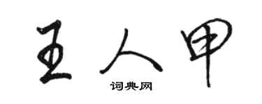 骆恒光王人甲行书个性签名怎么写