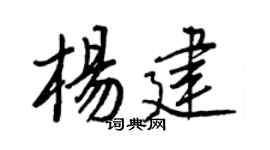 王正良杨建行书个性签名怎么写