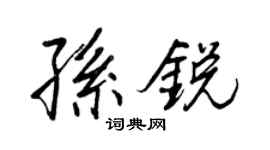 王正良孙锐行书个性签名怎么写