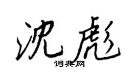 王正良沈彪行书个性签名怎么写