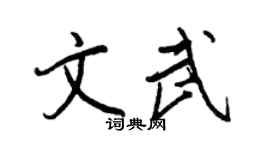 王正良文武行书个性签名怎么写