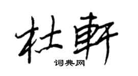 王正良杜轩行书个性签名怎么写